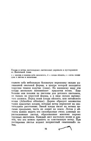Как сделать рисунок 300 dpi Как сделать рисунок 300 dpi